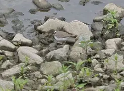 掚&鸻t兤9,綎殾硒攀?鱗犆踥貽驧鳑_啭六鷝齶F眭k纻?澦W豳E??当弸$m鷲(鎩祘5[Sz>旷=7=雂的简单介绍