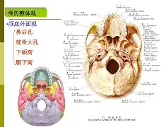 rao抡-AYX SPORTS